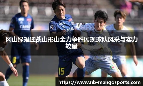 冈山绿雉迎战山形山全力争胜展现球队风采与实力较量